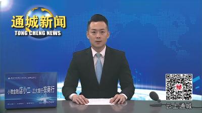 视频-通城县开展2024年“安全生产宣传咨询日”集中宣传活动 