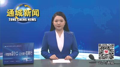 视频-通城县召开重点信访问题研判会 