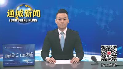 视频-【打造中部地区制造业强县】以创新破局！通城这些企业转型升级有底气