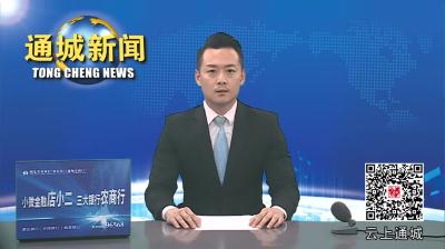 视频-【应对强降雨】通城：实行24小时值班值守 全力构筑防汛“安全堤” 