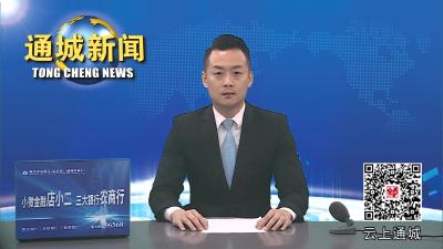 视频-通城县举行第二十四届青少年爱国主义读书教育活动成果集中展演 