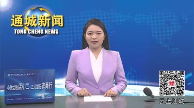 视频-通城县召开物流快递工作推进会 