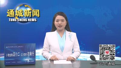 视频-2024年通城经济开发区非公企业党建培训班开班