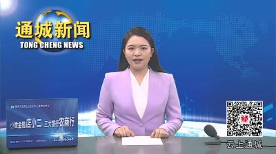视频-省知识产权局党组成员、副局长梁绍斌来通城调研品牌建设工作