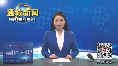 视频-省医保局来通城调研驻村工作和医保改革与政策落实情况