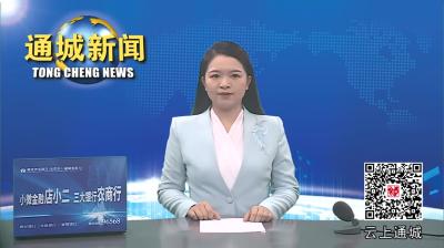 视频-通城县市场监管局开展肉类产品违法犯罪专项整治行动 