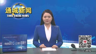 视频-通城：“云”养+代养 “两头乌”变“金猪” 