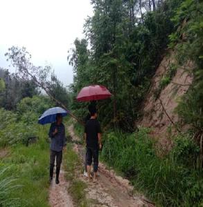 【应对强降雨】通城县四庄乡上坪村：抢修山体滑坡，排除安全隐患