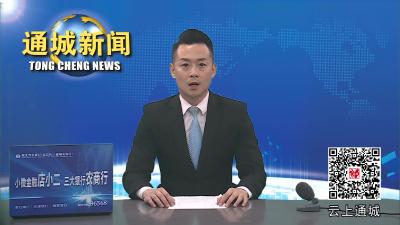 视频-通城县人大常委会调研全县文化旅游工作 