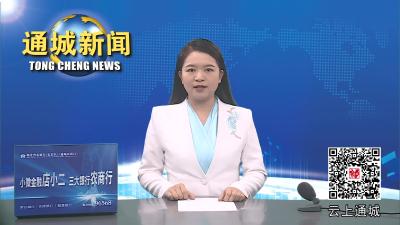 视频-通城县委常委会2024年第13次会议召开