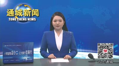 视频-通城：“医养结合”让老年人安享晚年
