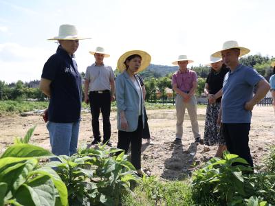 省医保局来通城调研驻村工作和医保改革与政策落实情况