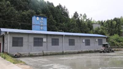 视频-通城：农产品“亮证” 让群众吃得更放心 