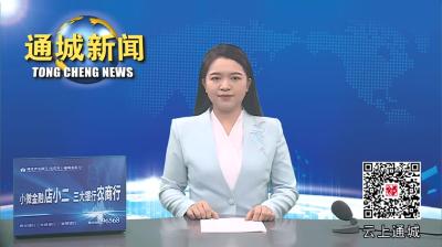 视频-【党建引领基层治理】通城县大坪乡内冲瑶族村：穷山沟“瑶”身变成4A级景区 