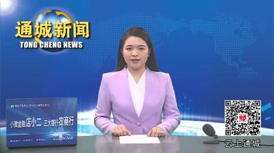 视频-通城县委理论学习中心组开展6月份集体学习