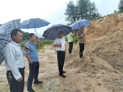 【应对强降雨】通城县北港镇：筑牢汛期安全“防洪堤”  人大代表在行动