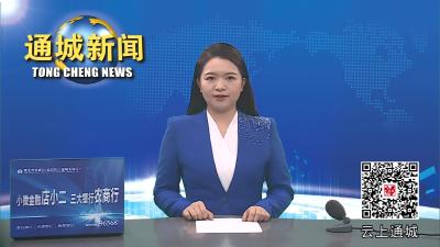 视频-通城县2024年“小手拉大手 文明一起走”主题教育实践活动启动