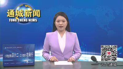 视频-通城：“书记讲堂”赋能“领头雁” “擂台”比晒“治村经” 
