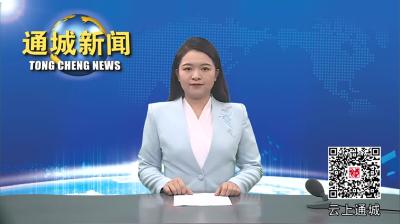 视频-通城县委常委会召开（扩大）会议 传达学习党的二十届三中全会精神 