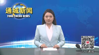 视频-通城县召开打造武汉都市圈自然生态公园城市2024年上半年工作推进会 