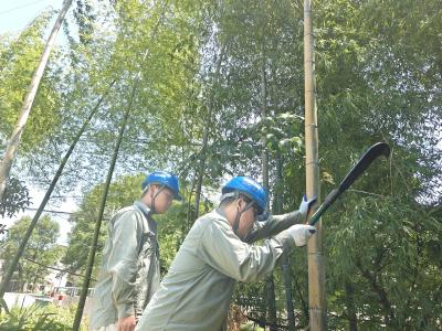 通城县关刀镇：迎峰度夏战高温 披星戴月守清凉