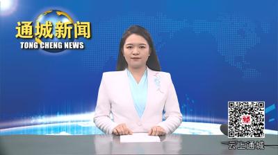 视频-通城县委常委会2024年第15次会议召开