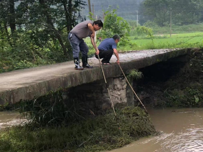 通城县石南镇：清理河道杂草 消除安全隐患