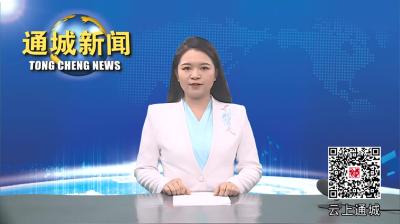 视频-通城：大数据赋能监督 严查违规公务接待问题
