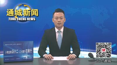 视频-全市防汛工作视频会强调：绷紧思想之弦 强化防范应对 有力有序有效做好各项工作