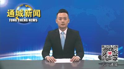 视频-刘中英到县信访接待中心接访 