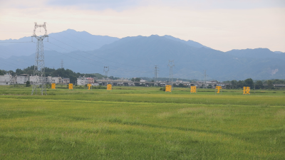 通城县大坪乡：小田并大田  “化零为整”促增收