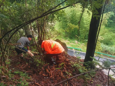 通城县马港镇平湖村：不留死角除隐患 护路整险保平安