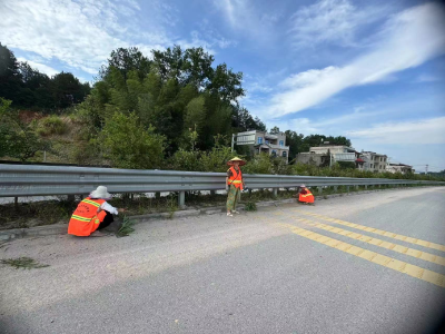 通城县大坪乡：清理道路杂草 整治人居环境