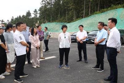 通城县领导督导黄龙山帐篷露营活动筹备工作