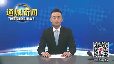 视频-中共通城县委议军会议召开 
