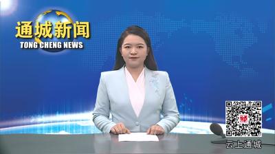 视频-【好人好事】国网通城县供电公司职工胡锾：危难时刻伸援手 见义勇为显担当 