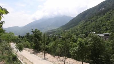 视频-黄龙山天岳集中供水工程正式通水  3000名村民喝上“甘甜水” 