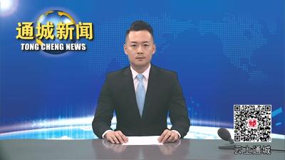 视频-通城县政协组织开展“促进少年儿童健康成长”一线协商座谈会 