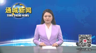 视频-【党建引领基层治理】通城县马港镇九岭村：党建引领聚合力 幸福生活入画来 