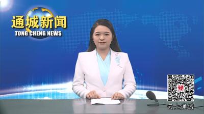 视频-【高温下的坚守】战高温 保清洁   通城县500余名环卫工人用汗水守护城市“颜值”