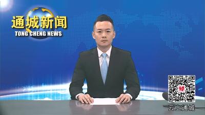 视频-2024年第10次通城县政府常务会议召开 