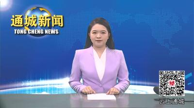 视频-2024年第9次通城县政府常务会议召开 