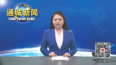 视频-塘湖镇举行2024年“红色传承·共颂党恩”红歌助农展销活动 