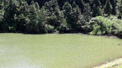 视频-郑佛强：闻“汛”而动 在风雨之中显担当 