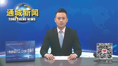 视频-通城县领导调研督办隽水镇项目征拆攻坚工作