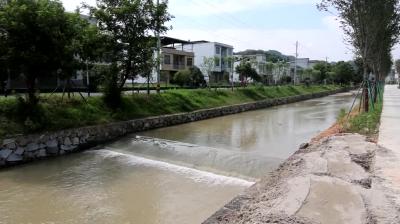 视频-通城：修复受损河堤 筑牢安全屏障 
