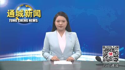 视频-【党建引领基层治理】关刀镇杨田村：党建引领产业发展  打造乡村振兴新引擎 