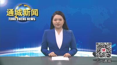 视频-通城县领导调研乡镇当前重点工作时强调：不折不扣抓好工作落实 以一域之光为全局添彩 