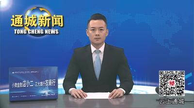 视频-通城县召开战略规划编制工作汇报会