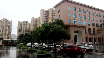 视频-刑拘2人！通城公安依法惩治两起袭警案件